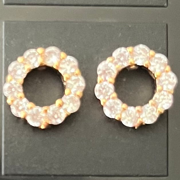 Stylish Studs #305